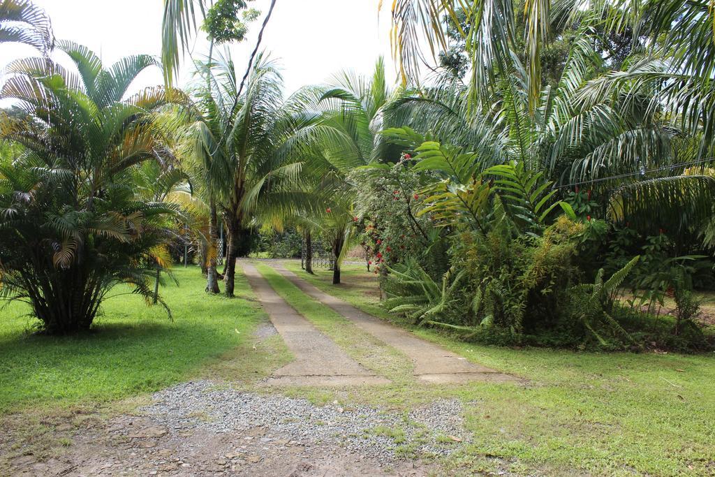 Villas Maria Luisa Uvita Exterior photo